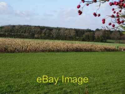 Foto 6x4 Maisernte südöstlich von Dead Mans Belt South Wonston Look Nr. c2006