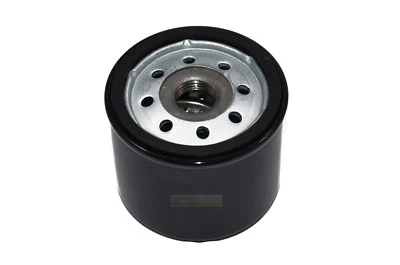 PERFETTOGIARDINO Filtro olio motore Briggs & Stratton 492932 492932S 4154 696854 492056 filtro...