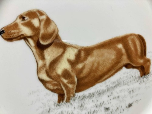 Placa para perro Hermes Dachshund 21 cm 8 pulgadas verde sin caja en muy buena condición - Imagen 6 de 6