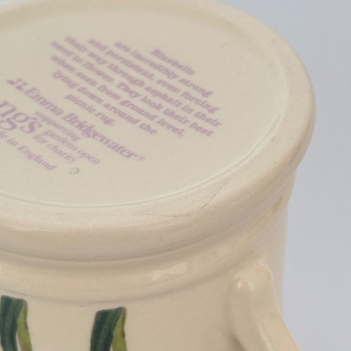 Emma Bridgewater Bluebell Flowers Mug 25th Anniversary NGS - Picture 9 of 9