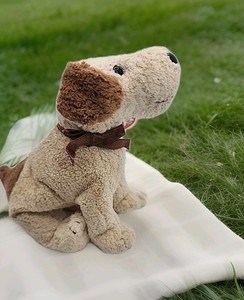 TY Beanie Babies Baby Dog Rufus Welsh Terrier - 2000 Vintage - With Tag