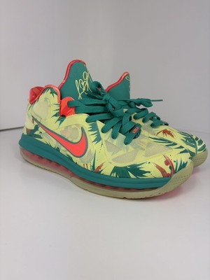 Nike LeBron 9 Low LeBronald Palmer Edition Size 9
