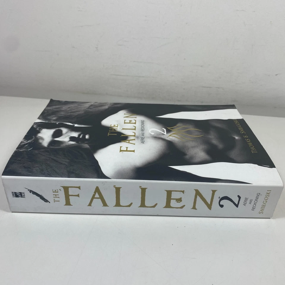 2 Lot Thomas E Sniegoski- Crashing Paradise & The Fallen 2 Paperbacks - image 4 of 4