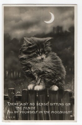 Tiere: Katze Kätzchen sitzt auf dem Zaun unter einer Mondsichel. Posted 1931.