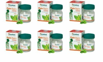 6 pack X Himalaya PAIN BALM MINT Fast Relief from Headaches Pain 10 GM FREE SHIP