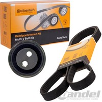 Continental Ctam KEILRIPPENRIEMEN-SATZ Passend FüR Audi A4 A6 A8 Allroad Skoda