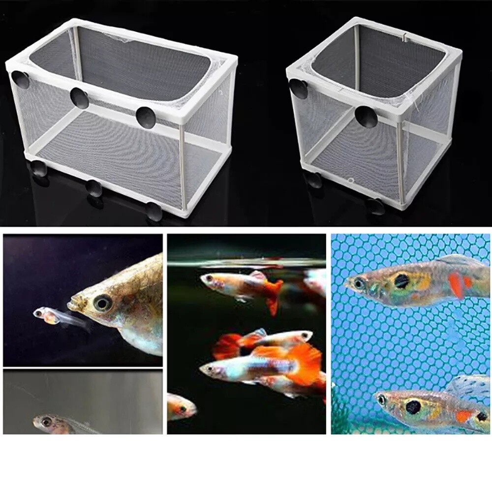 tropical fish guppy breeding tank Aquarium Fish Tank Guppy Breeding Breeder Baby/Fry/Newborn Net Trap Box  Hatchery