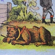 Scarce Carson City Victorian Advertising Trade Card Cagwin & Noteware Dog IV