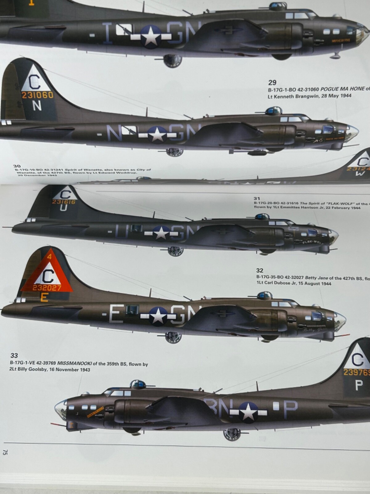 303rd Bombardment Group Book