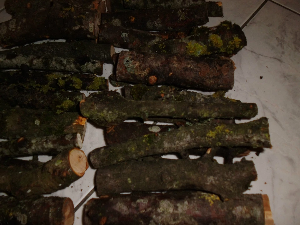 Holz,Apfelbaum,Aststücke,Bastelholz, Natur, Floristik, Basteln 800g Packung - Bild 2 von 4