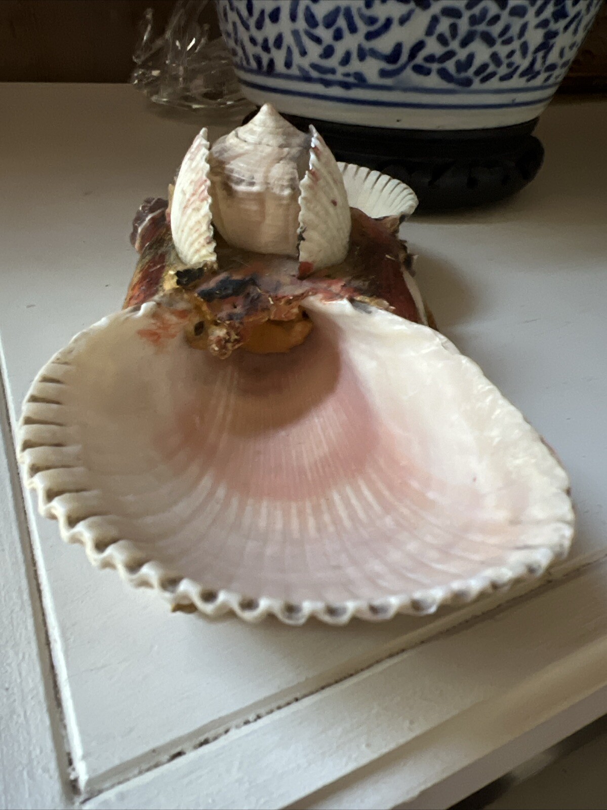 Picture 6 of 20