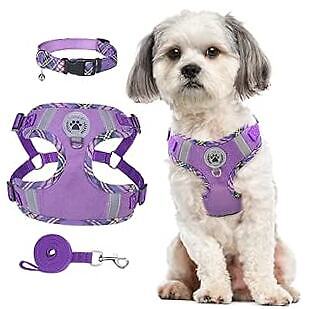 Step in Hundegeschirr Halsband Leine Set S (Brust 15""-18"", Halsband 9""-12"" lila - Bild 1 von 8