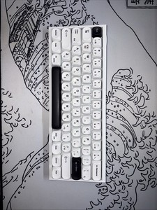 Wooting 60he White | eBay