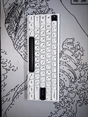 Wooting 60HE+ Custom Modded - Tofu60 Redux + WS Dash HE Switches + Japanese Keys