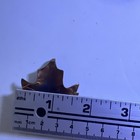 Vintage Nmc COPPER Maple Leaf Pin Size:2.25x1.75 In — photo 10