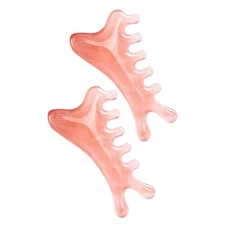 2 Pcs Scalp Meridian Massage Comb Massager Handheld Tool Gua Sha Facial Brush