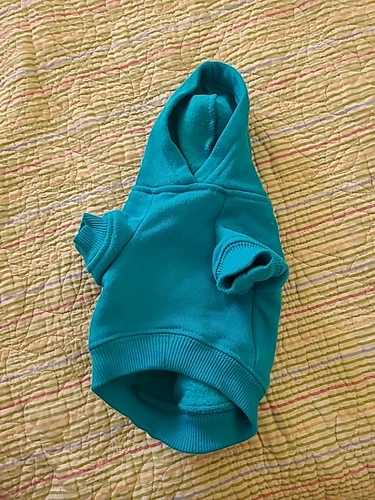 VETEMENTS Zack & Zoey Felpa con Cappuccio Pull on per Cani di Piccola Taglia XS