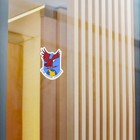 Bild 7 von 17