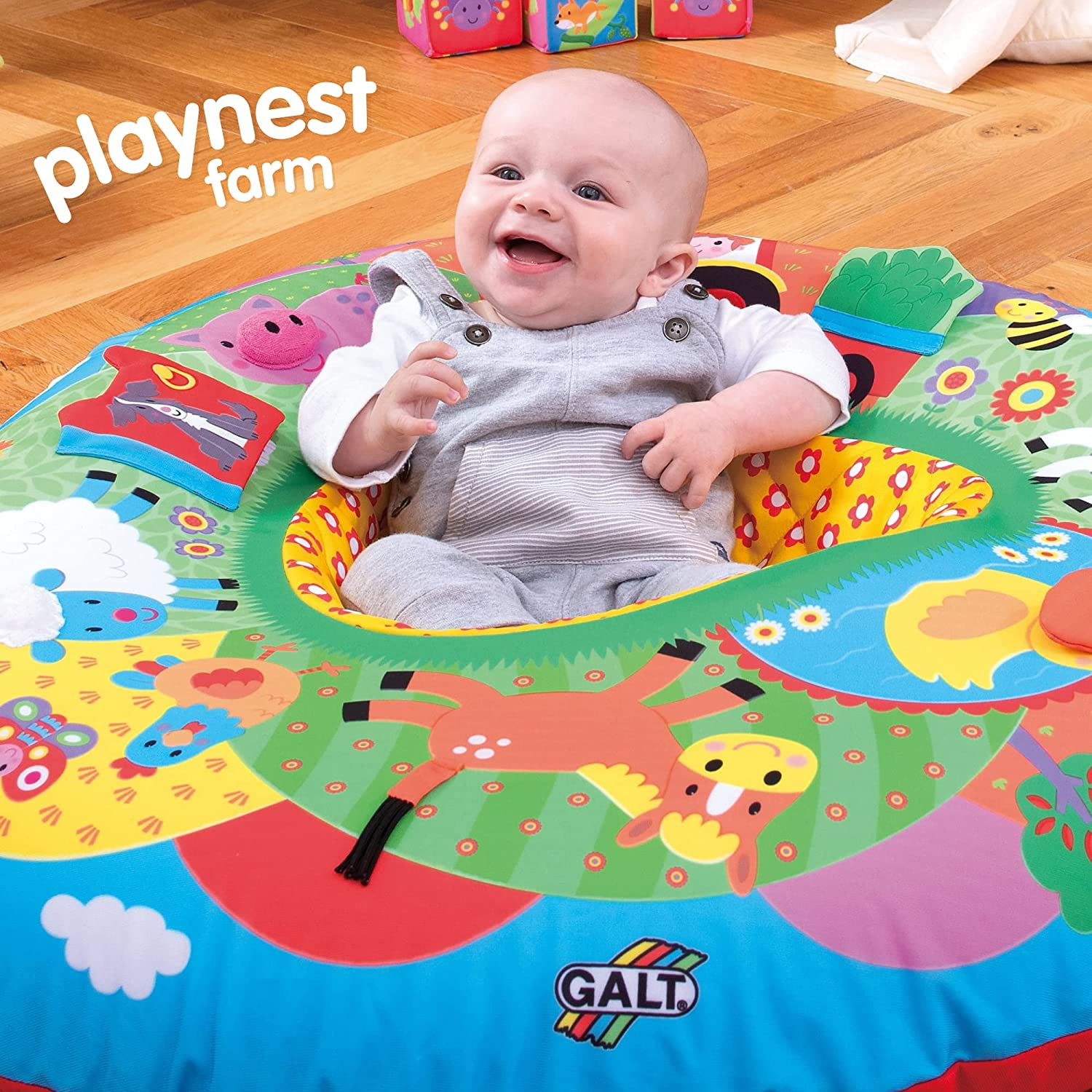 Toys, Playnest Farm, Baby Activity Center & Floor Seat, Ages 0 Months