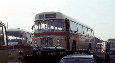 dack terrington gvw981h kings lynn depot 83 6x4 Quality Bus Photo