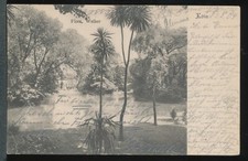  Alte AK     Weiher, Flora,  Köln 50667, 1904