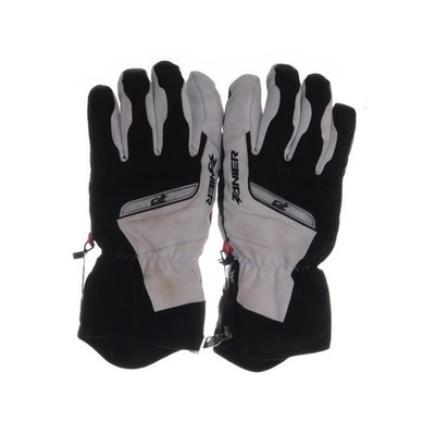 Zanier, Handschuhe, Größe: L, DAC-STN.GTX #EmD