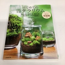 My First Moss Terrarium Learn How To Plant Grow And Maintain Without Fail