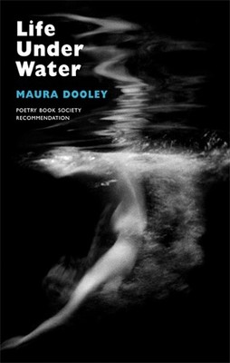 Maura Dooley Life Under Water (Taschenbuch)