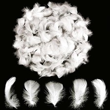 White Craft Feathers 300pcs 2-3" Bulk for DIY Crafts, Decor, Earrings, Projects