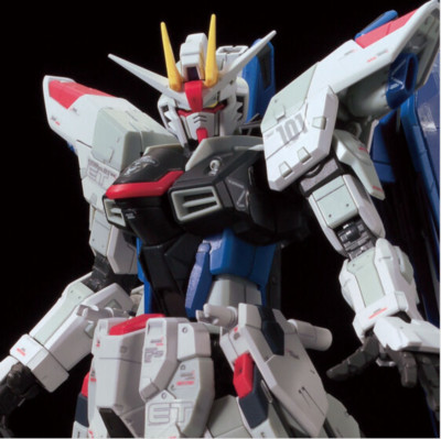 RG ZGMF-X10A FREEDOM GUNDAM Ver.GCP 限定版 Bandai RG The Gundam Base Limited Freedom Gundam Ver.GCP