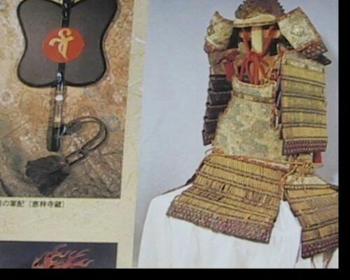 Libro 118 Famosos Señores de la Guerra Daimyo Shogun Armadura Espada Historia Samurái Japonesa - Imagen 4 de 8