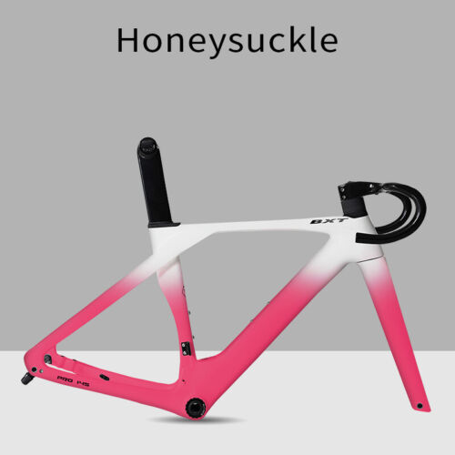Juego de cuadro de bicicleta de carretera de fibra de carbono BXT 700C freno de disco Road Frameset Fit For Di2 - Imagen 18 de 22