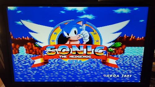Estuche y juego Sonic the Hedgehog (Sega Genesis, 1991) *Sin manual* ¡Funciona muy bien! - Imagen 10 de 11