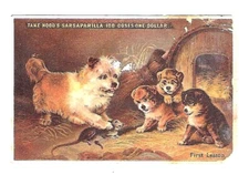 Early 1900 Trade Card Hudd's Sarsaparilla, "First Lesson" Dog & Puppies