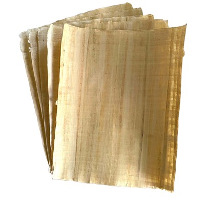 Set Of 5 Blank Egyptian Papyrus Sheets, for Art Projects and Schools, 8X12in.