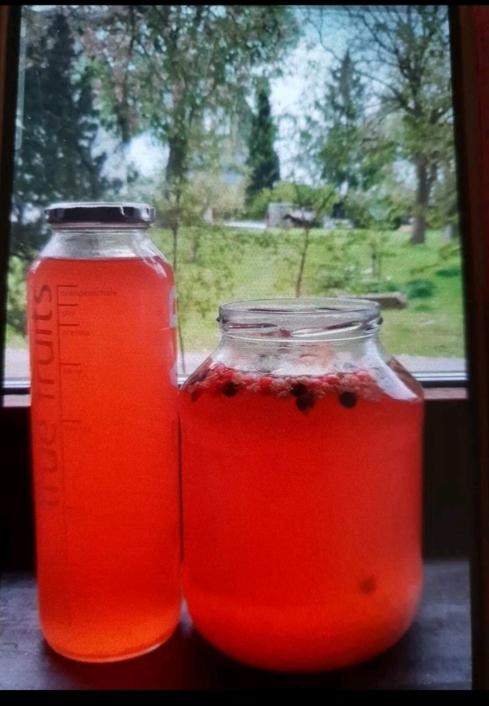 Wasserkefir,Wasserkristalle,Japan Kristallen 50 Gr