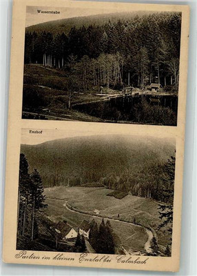 38031650 - 7547 Calmbach Kleines Ental Enzhof Wasserstube 1918