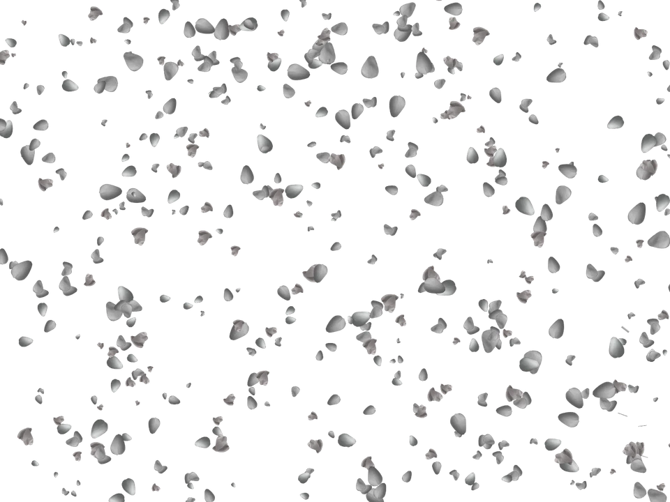 100 ROSE PETALS TRANSPARENT PNG DIGITAL PHOTOSHOP OVERLAYS BACKDROPS BACKGROUNDS - Image 4 of 4