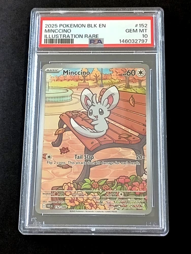 2025 Pokemon Black Bolt Minccino Illustration Rare #152 PSA 10   Pop 70