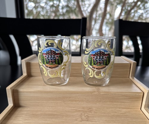 Vintage Bad Bruckenau Germany Beer Glasses 6 Ounce Chaser Souvenir Collectible
