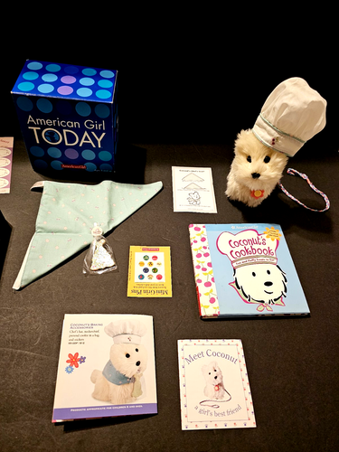 American Girl of Today Coconut Dog "DG" *Baking Accessories "GDF"* Cookbook*Lot - Picture 5 of 22