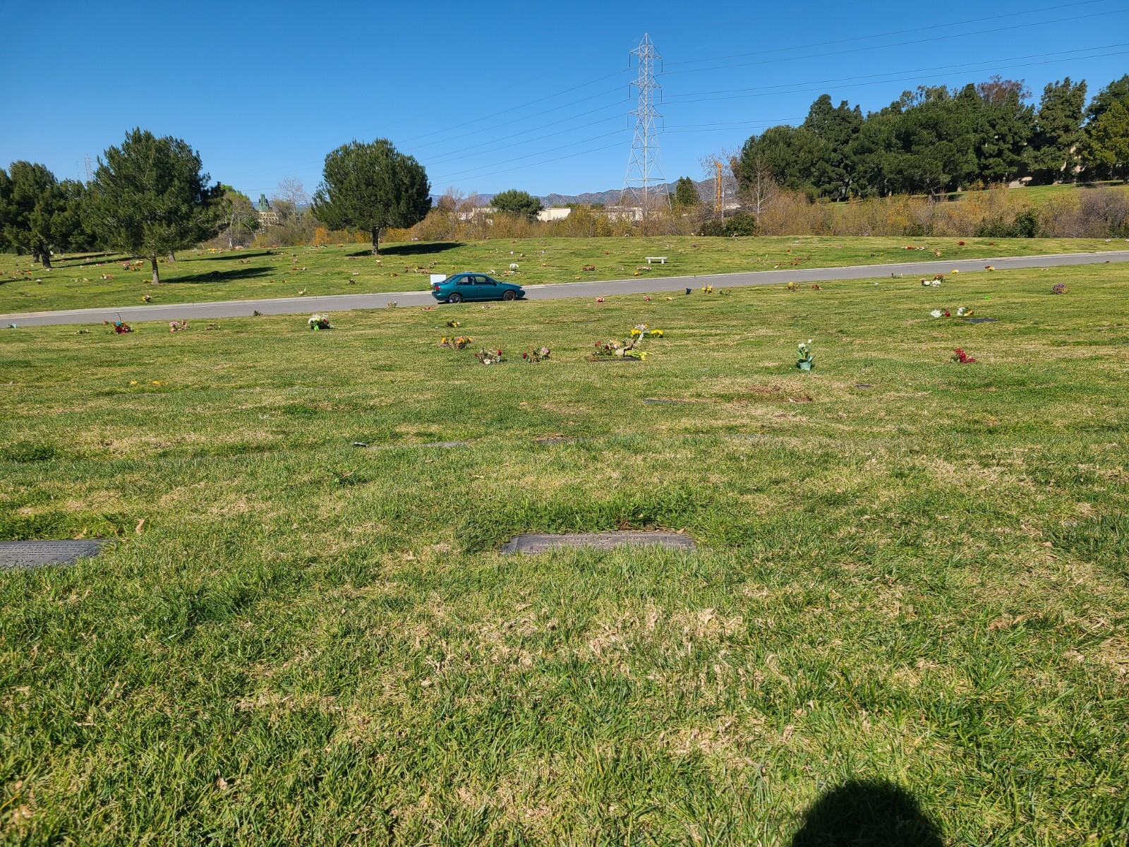 Forest Lawn Hollywood Hills Loving Kindness best location rare