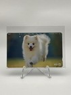 Ntt Telephone Phone Card Vintage Japanese Rare - Spitz Pomeranian Eskimo Dog