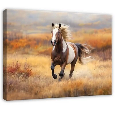Leinwand Bilder Pferd Feld Herbst Wandbilder XXL Groß Leinwandbild Wanddeko 37 - Bild 1 von 4