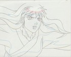 The Twelve Kingdoms Juuni Kokki Genga Douga Original Sketches Pierrot - Youko — photo 10