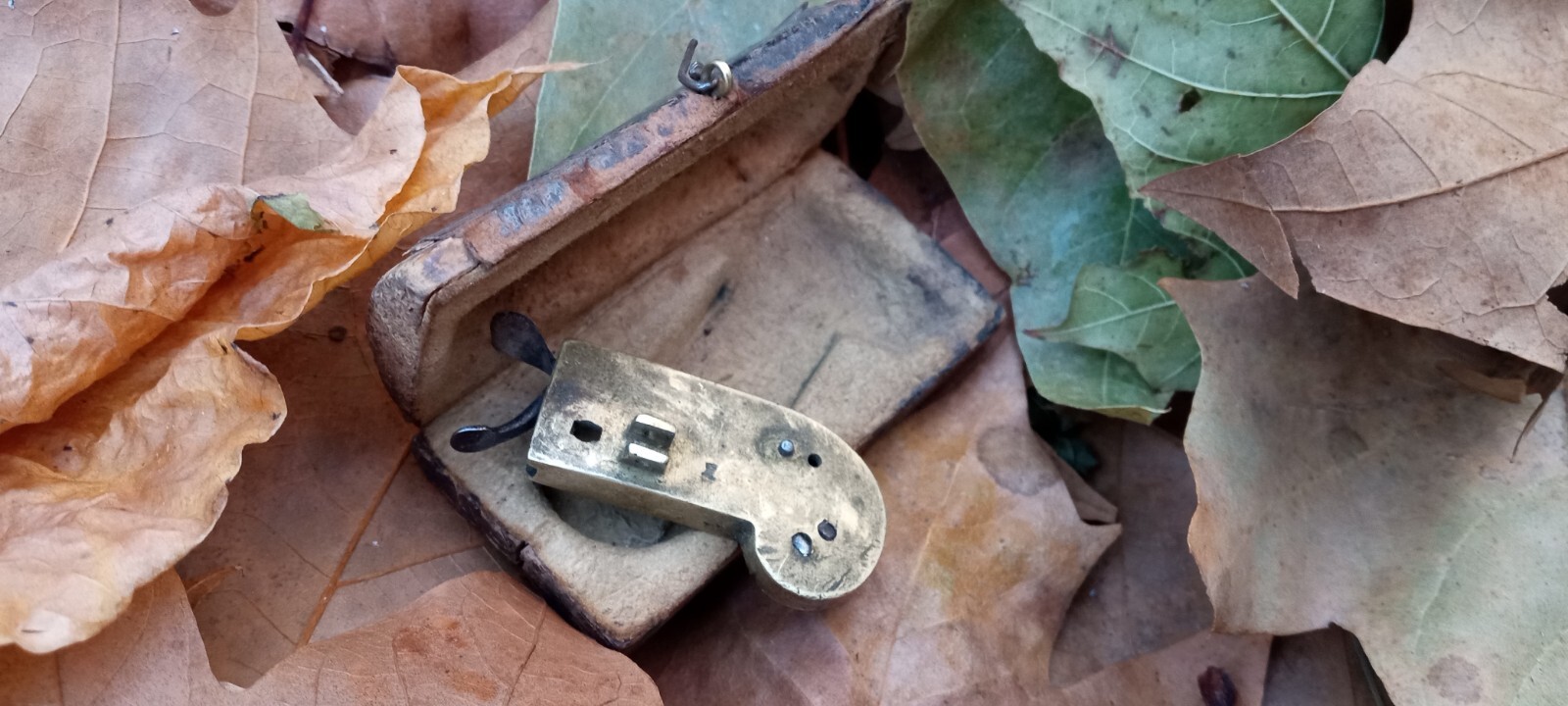 Bloodletting Tool W/Box Genuine Civil War Physicians Medical Tool. eBay