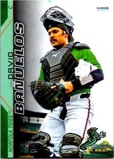 David Banuelos 2025 Choice Norfolk Tides #31 Norfolk Tides