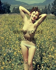 Vintage 1940s 1950s Photo Pretty Cheesecake Pinup Woman Naughty Boudoir #18B