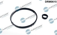 Neu - Dr.Motor Automotive DRM0615 Dichtungssatz, ÖLküHler FüR CitroËN
