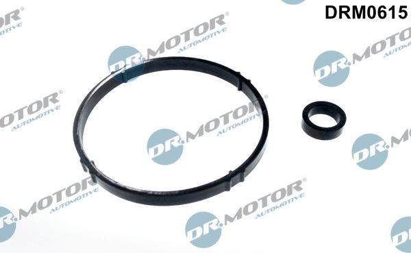Neu - Dr.Motor Automotive DRM0615 Dichtungssatz, ÖLküHler FüR CitroËN-image